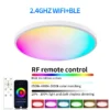 AuraGlow™ Smart RGB Ceiling Light.
