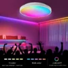 AuraGlow™ Smart RGB Ceiling Light.