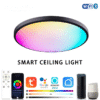 AuraGlow™ Smart RGB Ceiling Light.